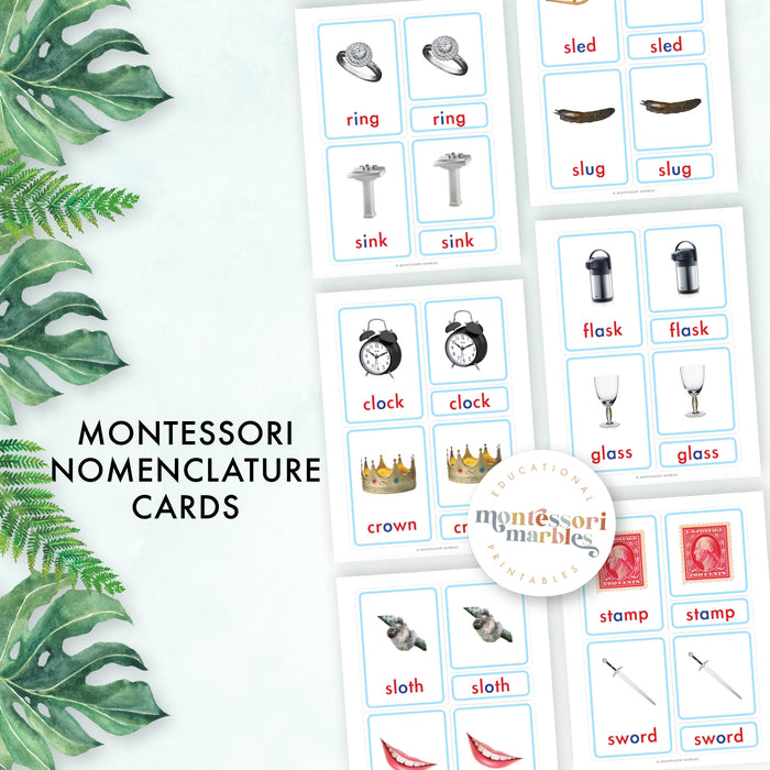 Montessori Blue Series Nomenclature Cards