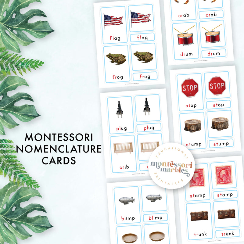 Montessori Blue Series Beginning Blends | 3-Part Cards