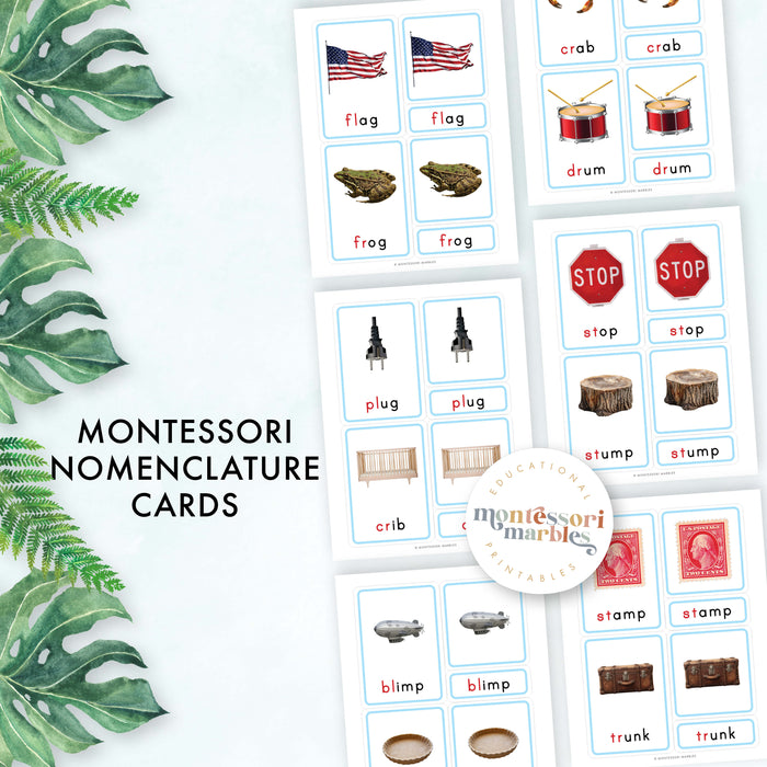 Montessori Blue Series Beginning Blends | 3-Part Cards