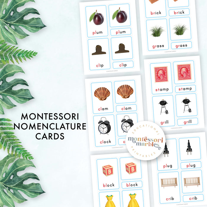 Montessori Blue Series Beginning Blends | 3 Part Cards