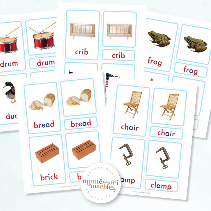 Montessori Blue Series Nomenclature Cards