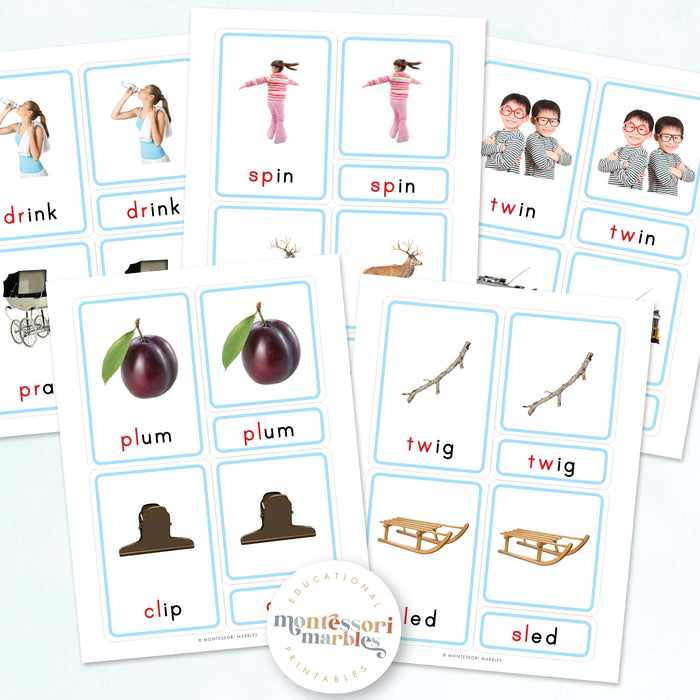 Montessori Blue Series Beginning Blends | 3-Part Cards