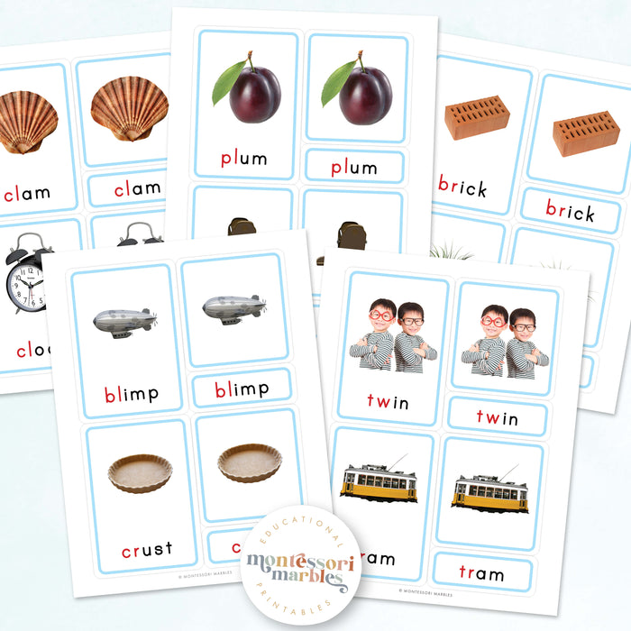 Montessori Blue Series Beginning Blends | 3 Part Cards