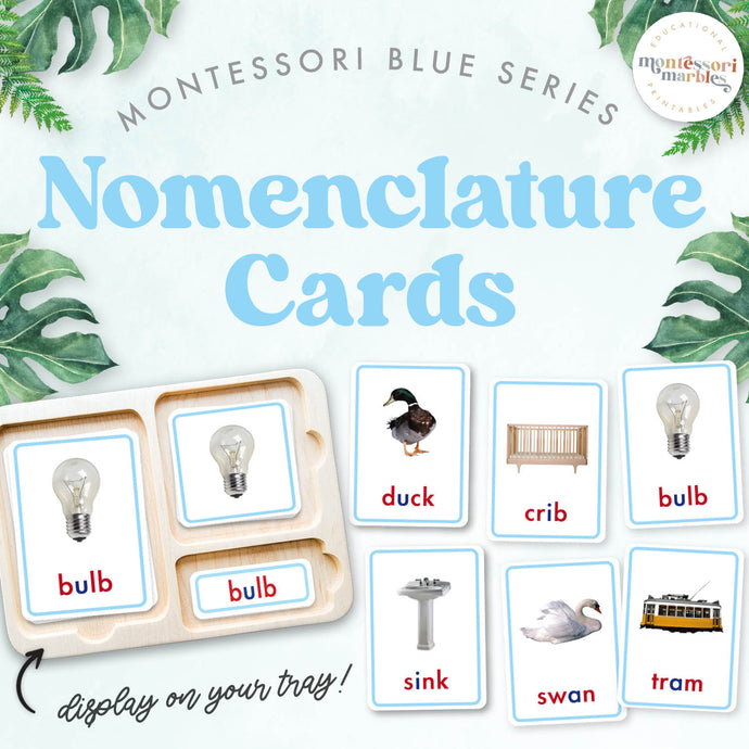 Montessori Blue Series Nomenclature Cards