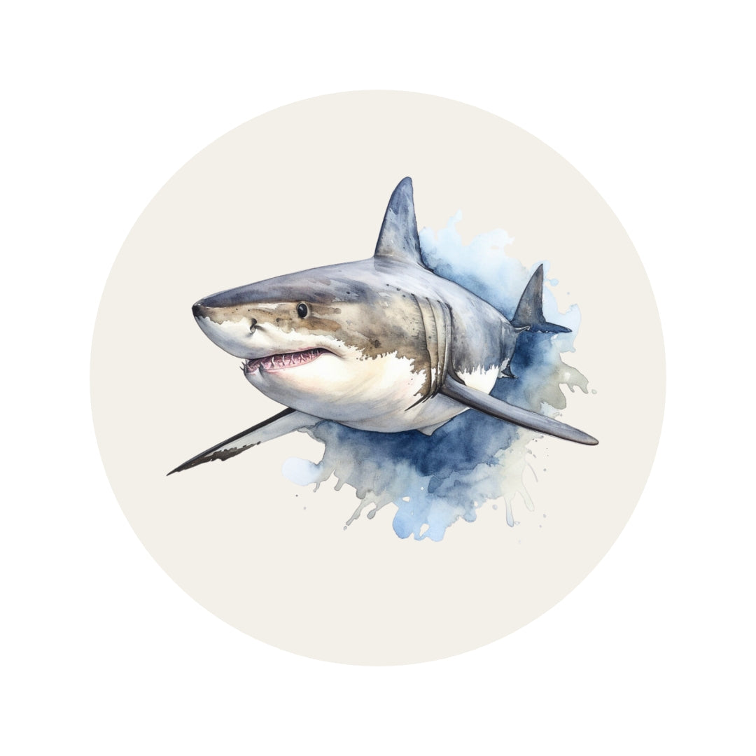 Ocean Animals