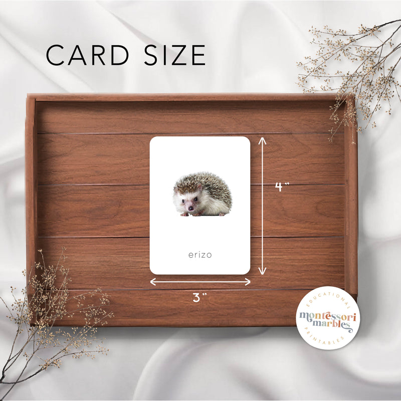 Animales del Bosque Tarjetas Didácticas