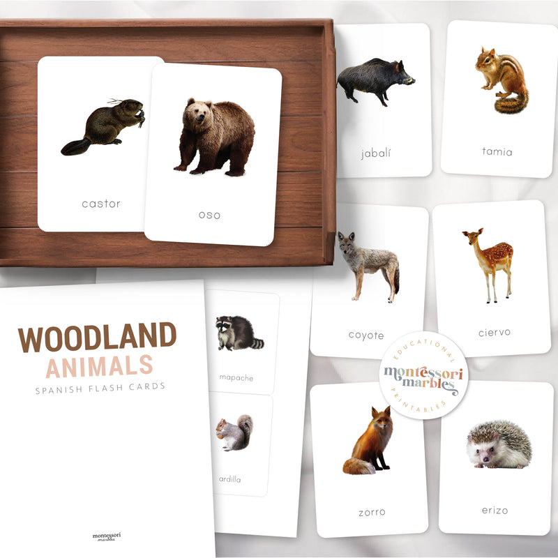 Animales del Bosque Tarjetas Didácticas