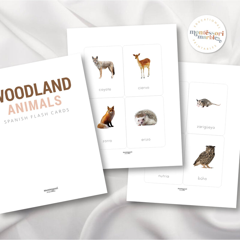 Animales del Bosque Tarjetas Didácticas