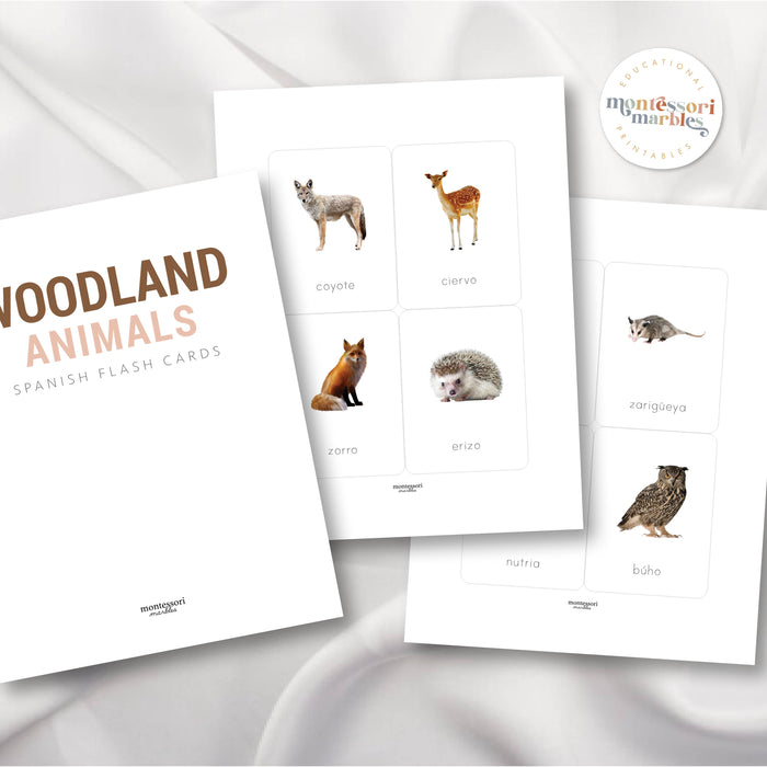 Animales del Bosque Tarjetas Didácticas