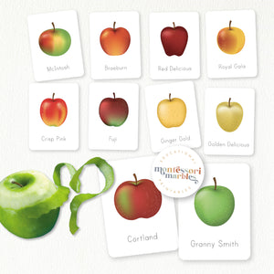 Apples Activity Bundle for Early Years