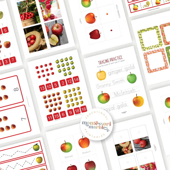 Apples Activity Bundle for Early Years