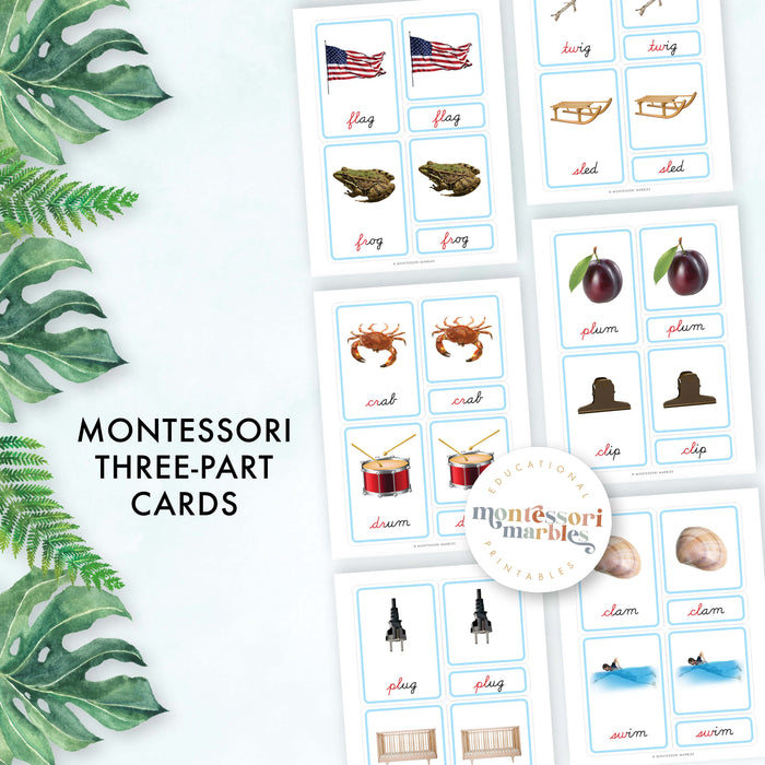 Montessori Blue Series 3 Part Cards Beginning Blends | Cursive