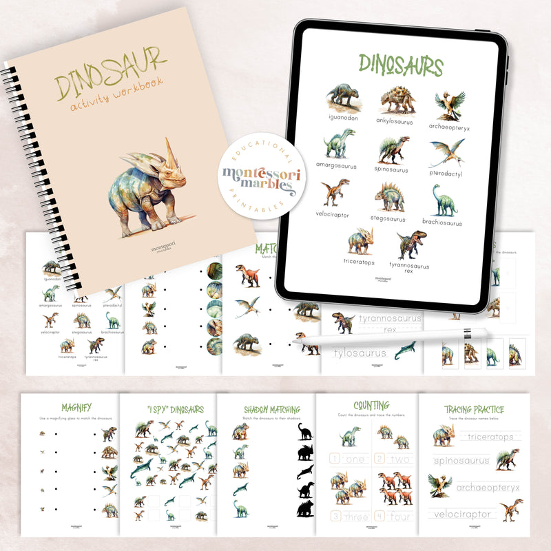 Dinosaur Activity Workbook Prek & Kindergarten