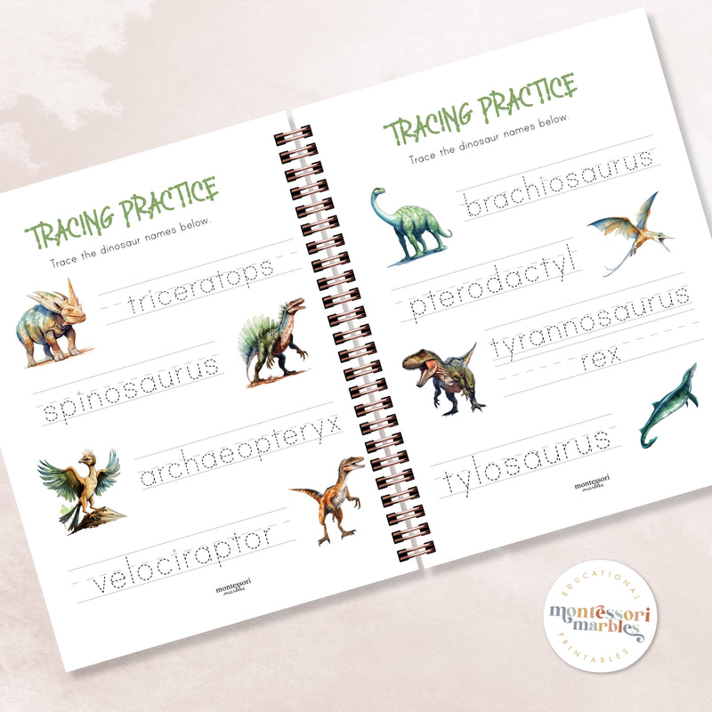 Dinosaurs Mini Bundle