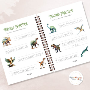 Dinosaur Activity Workbook