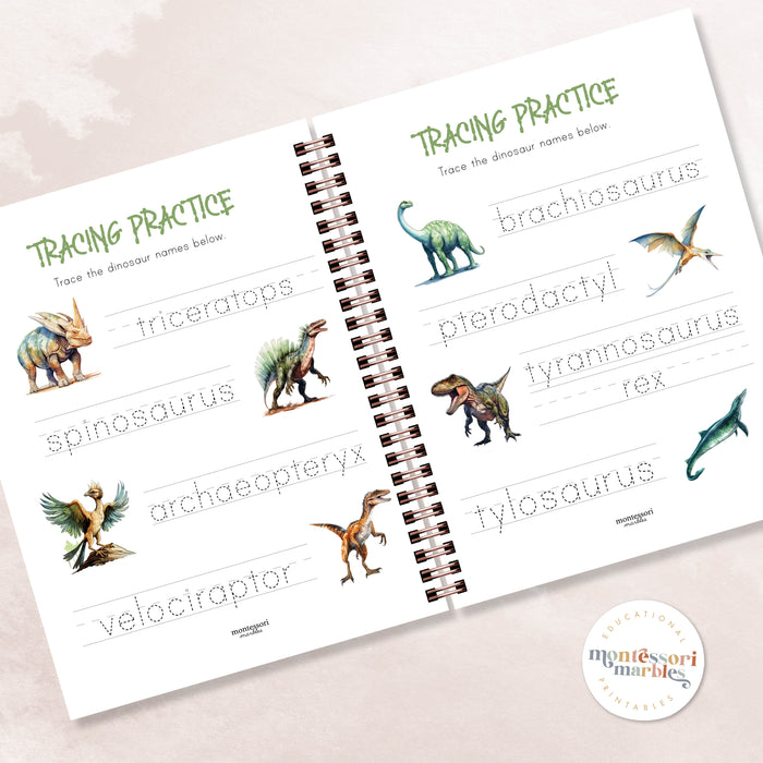 Dinosaurs Mini Bundle