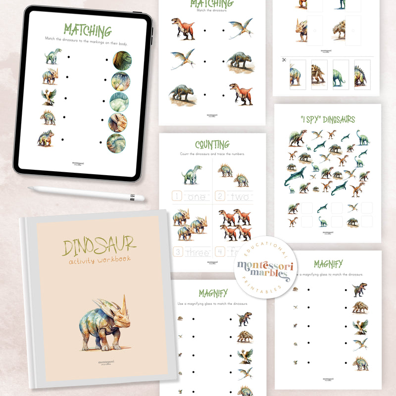 Dinosaur Activity Workbook Prek & Kindergarten