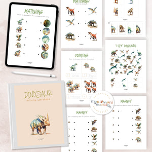 Dinosaur Activity Workbook