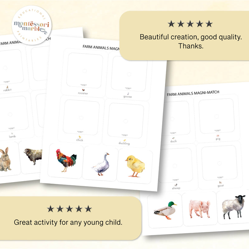 Farm Animals Magni Match