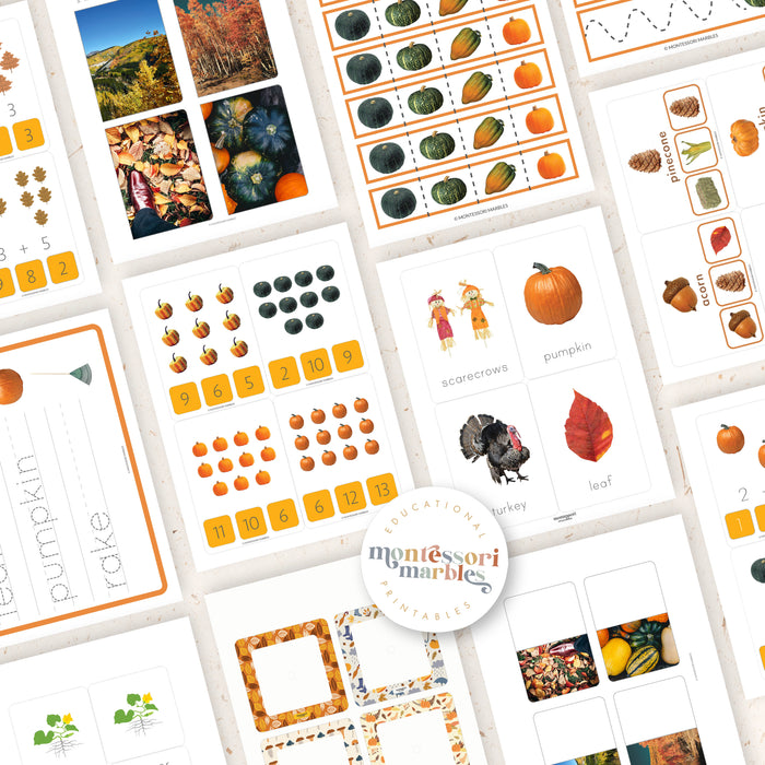 Fall Activity Bundle for Early Years