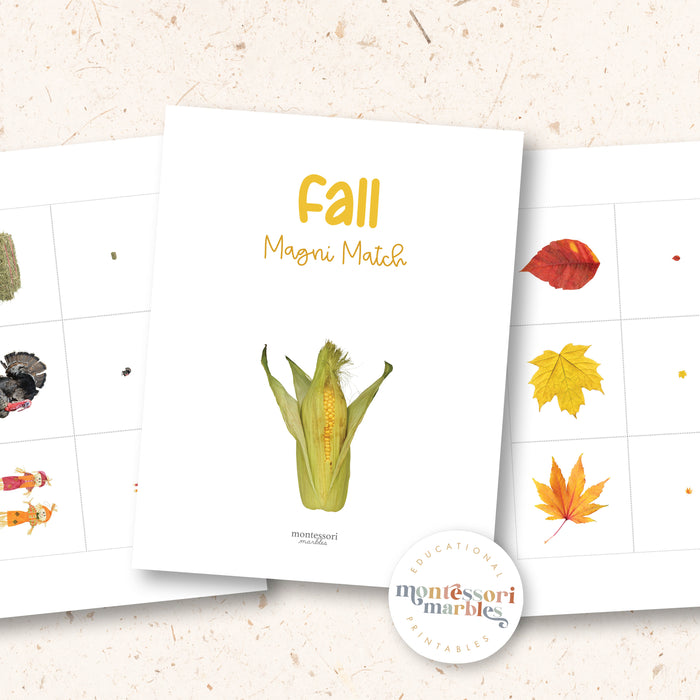 Fall Activity Bundle for Early Years