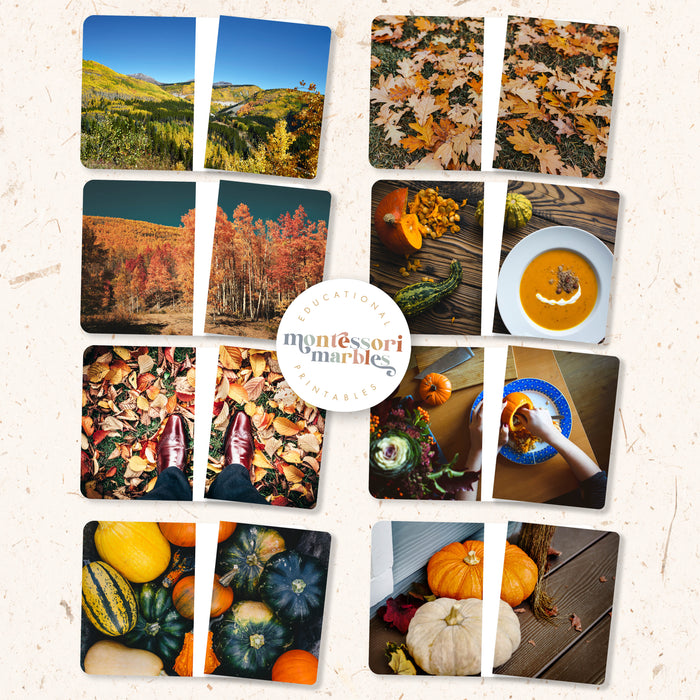 Fall Activity Bundle for Early Years