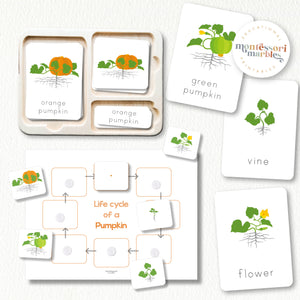 Fall Activity Bundle for Early Years