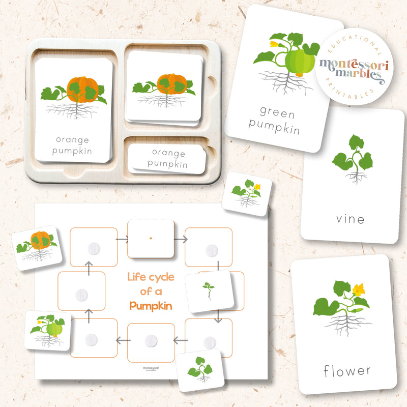 Fall Activity Bundle for Early Years