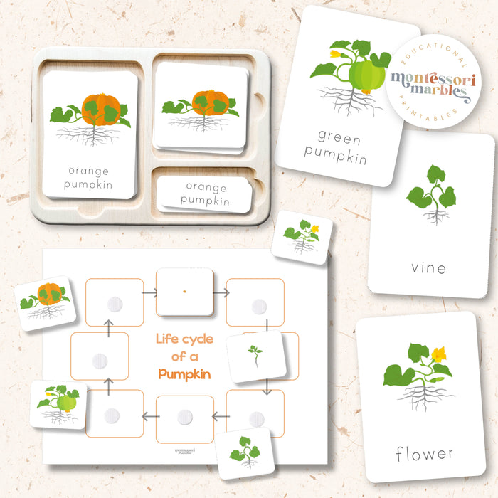 Fall Activity Bundle for Early Years