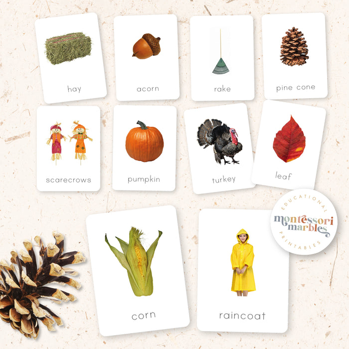 Fall Activity Bundle for Early Years