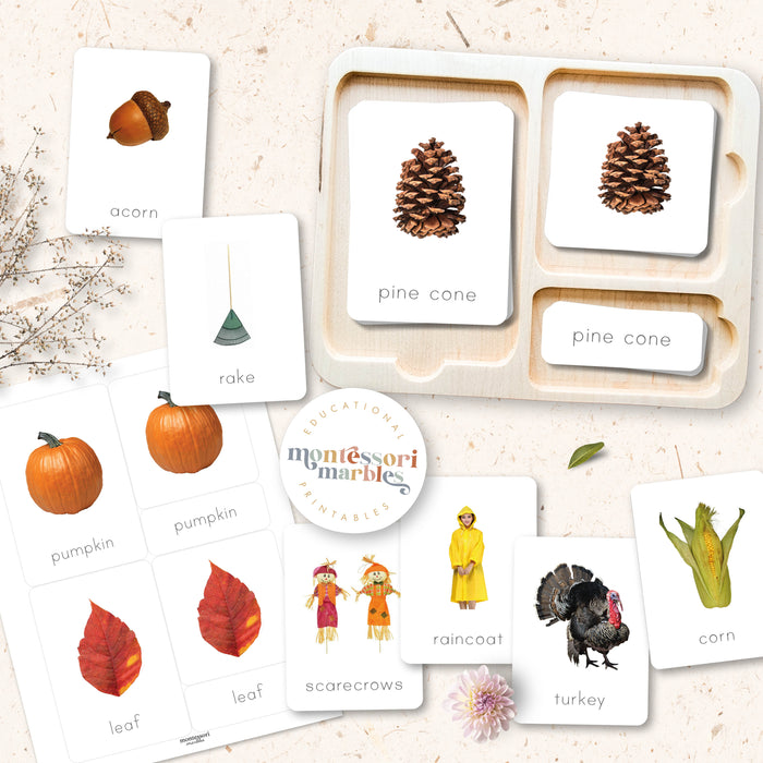 Fall Activity Bundle for Early Years
