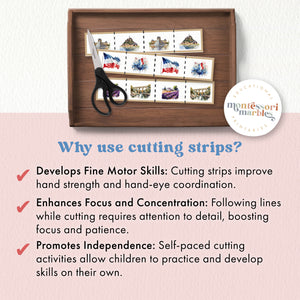 France Cutting Strips