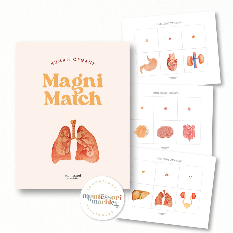 Human Organs Magni Match