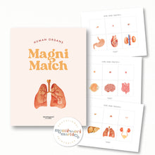 Load image into Gallery viewer, Human Organs Magni-Match
