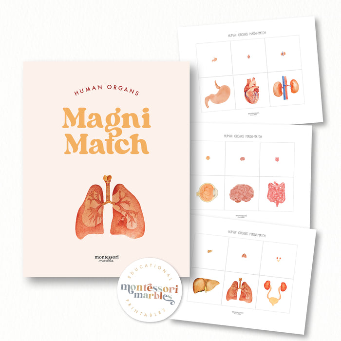 Human Organs Magni-Match