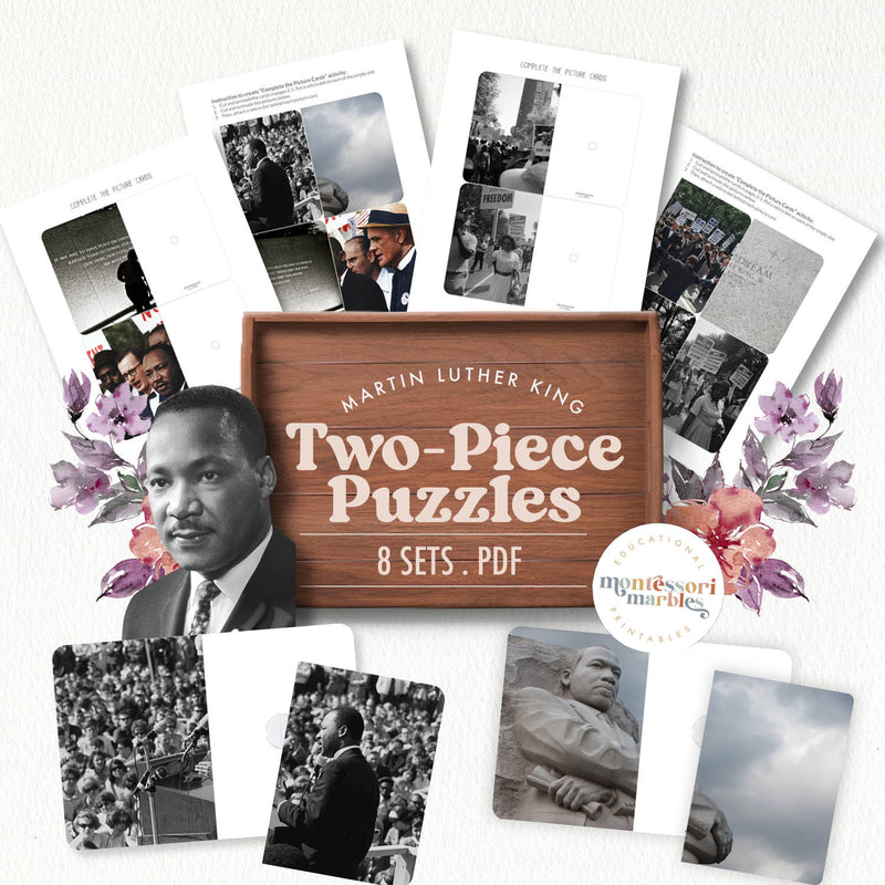 Martin Luther King Jr. Day picture-completion activity — Black History Month learning resource