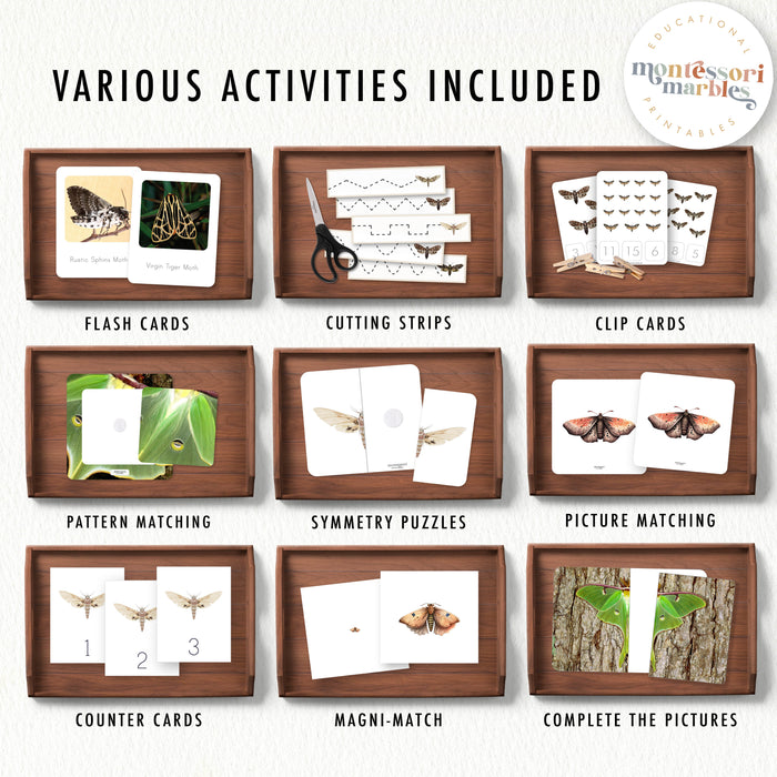 Moths Activity Bundle for Early Years