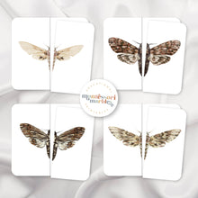 Load image into Gallery viewer, Moths Activity Bundle for Early Years
