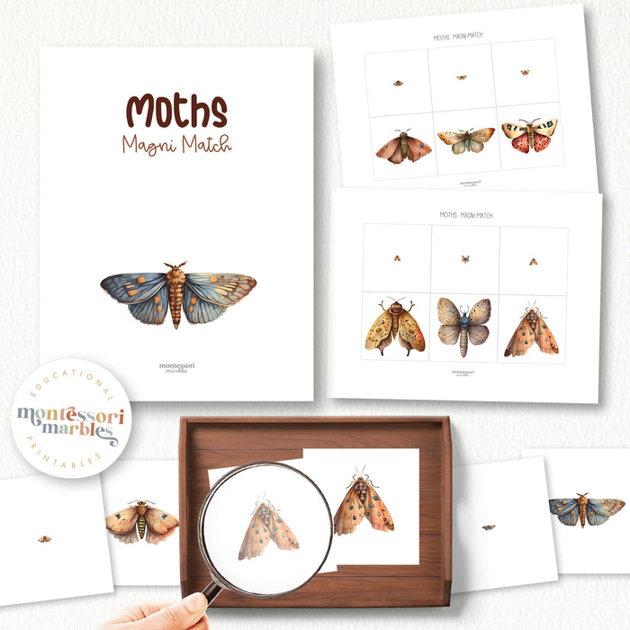 Moths Activity Bundle for Early Years