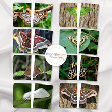 Load image into Gallery viewer, Moths Activity Bundle for Early Years

