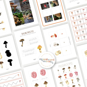 Mushrooms & Fungi Activity Bundle