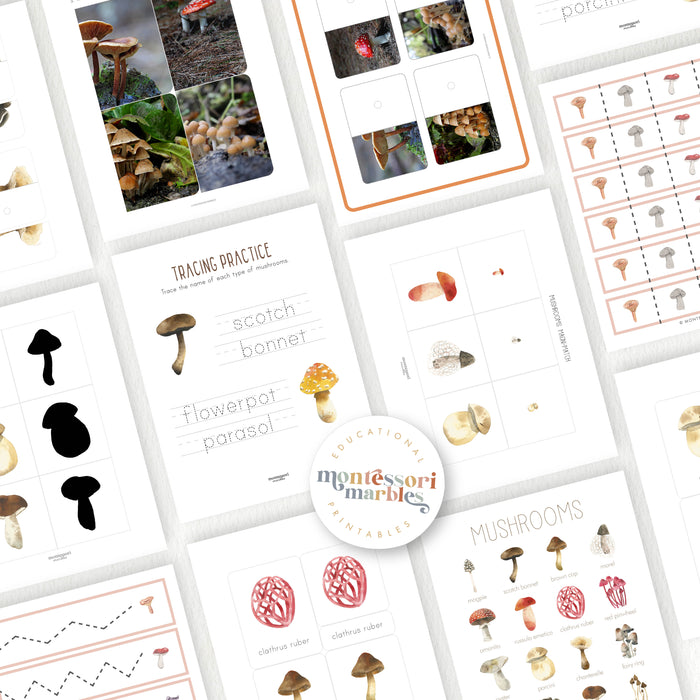 Mushrooms & Fungi Activity Bundle