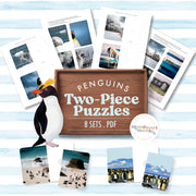 Penguins complete-the-picture activity — visual problem-solving with polar animal theme