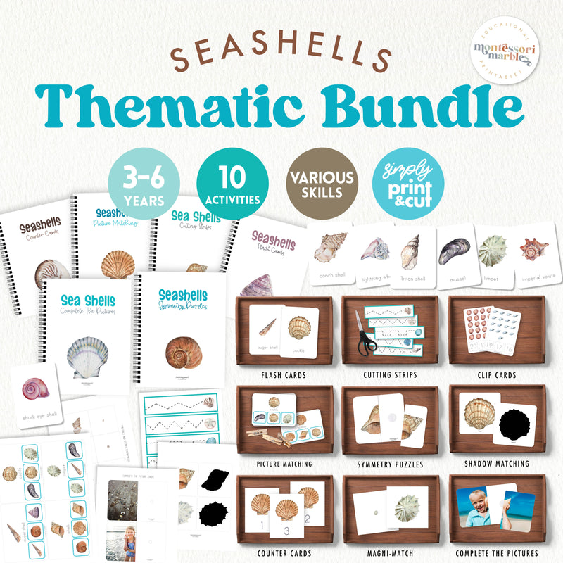 Seashells activity bundle for summer beach themes — ages 3-6