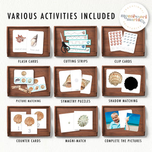 Seashells Activity Bundle for Early Years