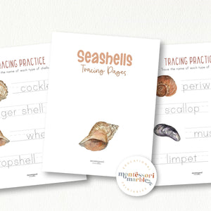 Seashells Activity Bundle for Early Years