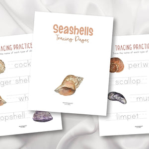 Seashells Activity Bundle for Early Years