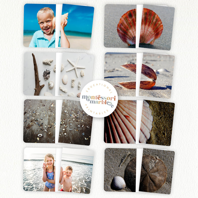 Seashells Activity Bundle for Early Years