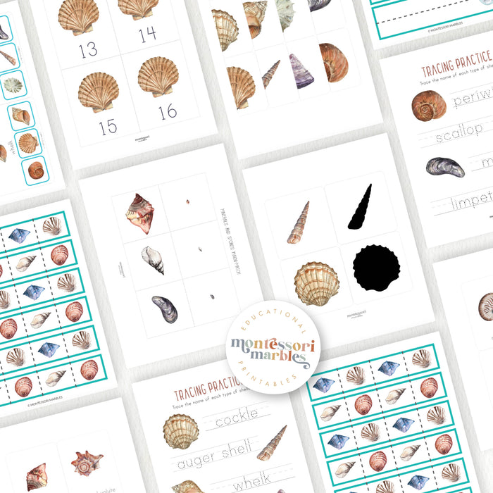 Seashells Activity Bundle for Early Years