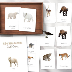 Siberian Animals Flash Cards